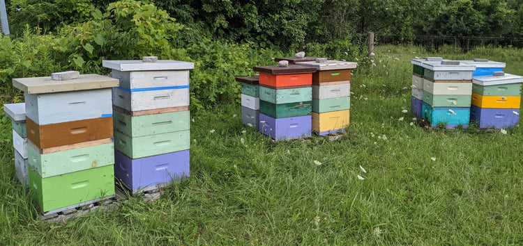 Other Hive Products