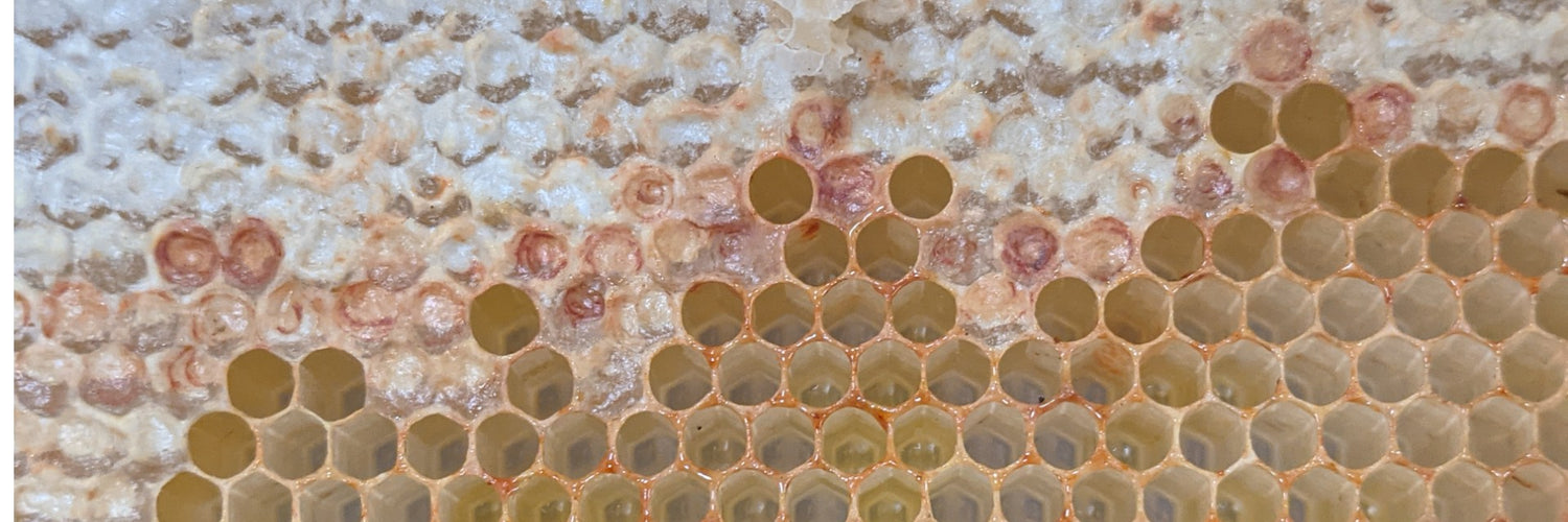 Beeswax Products