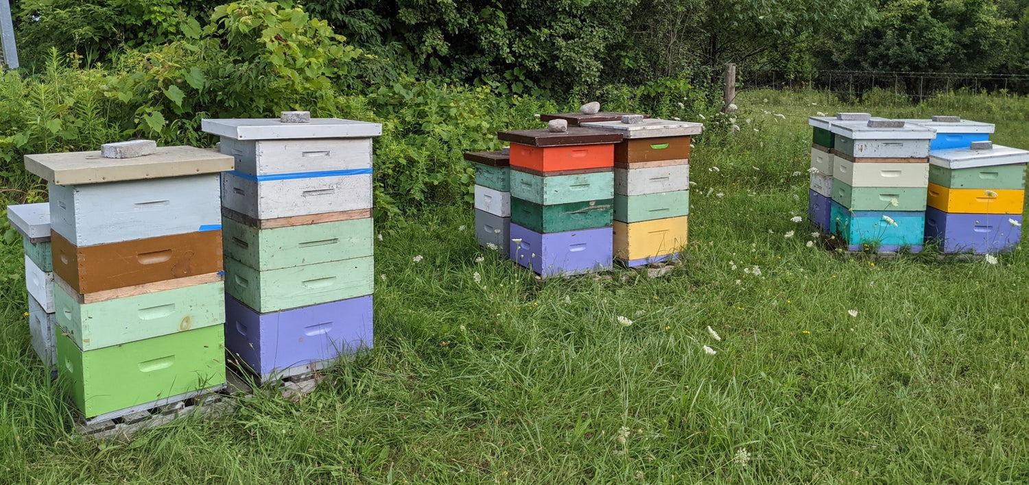 Other Hive Products