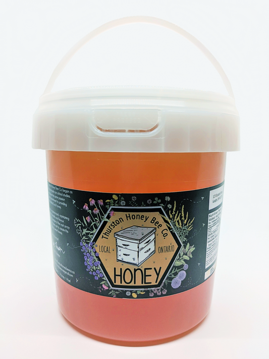 Honey Pail