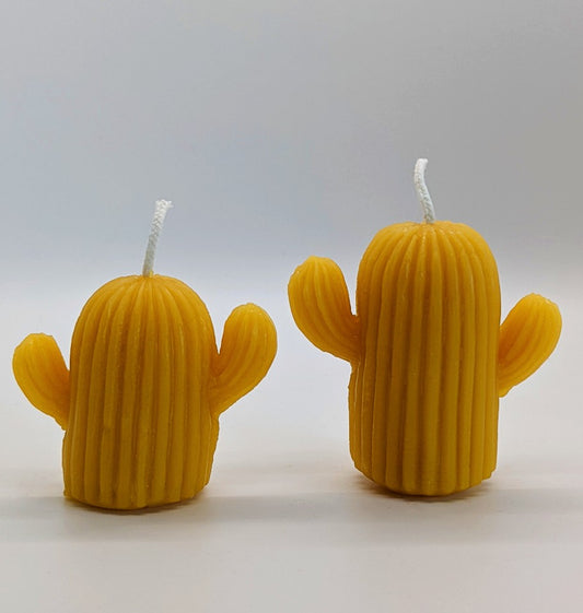 Beeswax Cactus Candles