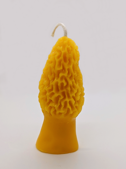 Morel Mushroom Candle